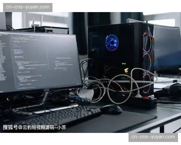 付费定制化分发终端在市场调整期内流行，满足了核心用户对极致码率的追求