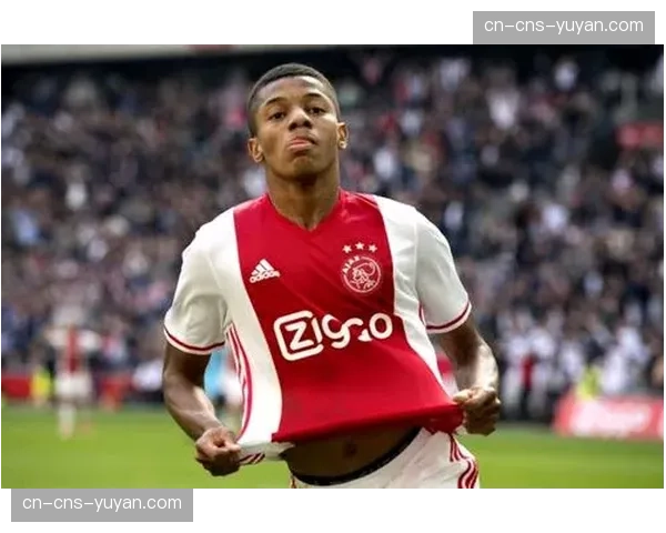 辽宁铁人创冬窗标王：450万欧元签下巴西边锋热菲尼奥