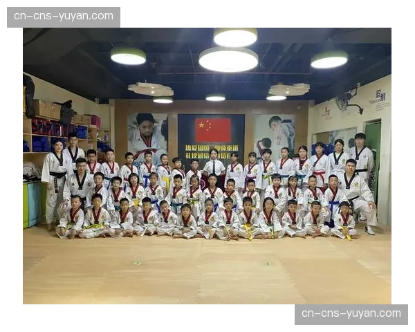 中国跆协发布《跆拳道级位等级评价》团体标准,规范技术等级体系 中国跆协发布《跆拳道级位等级评价》团体标准,规范技术等级体系